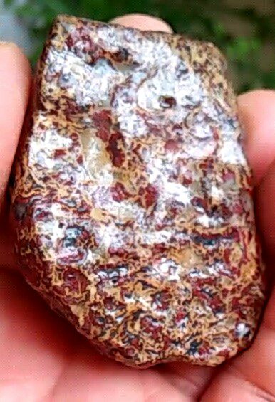神品天宝石奇石——浓缩的史前岩画