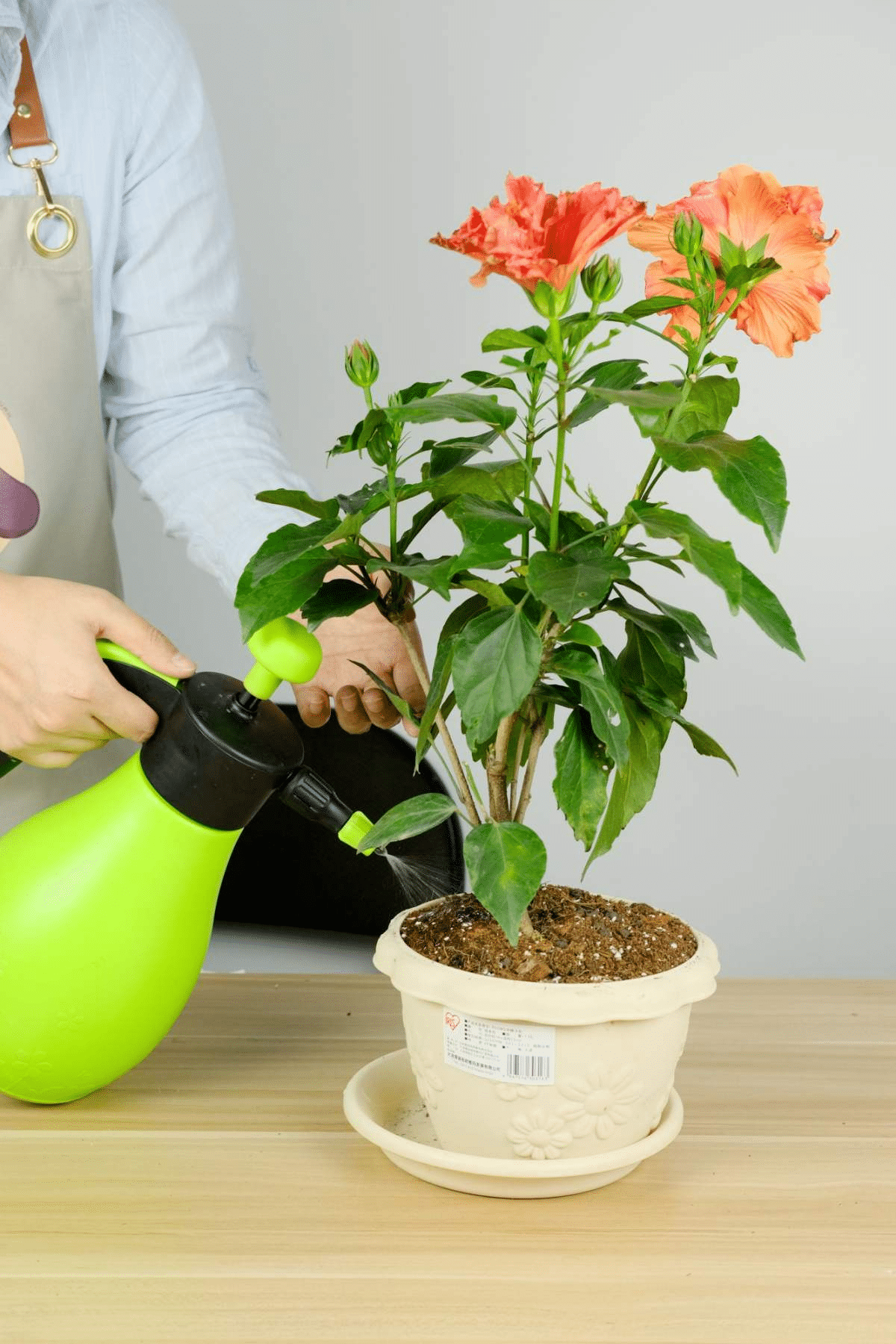 养花必备小工具，让养花变得更简单，便宜又好用