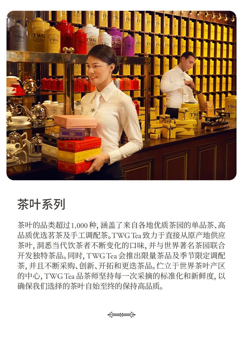名牌茶中的爱马仕！TWG Tea新加坡奢华茗茶品牌设计整合