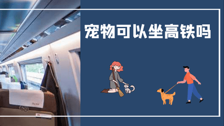 宠物可以坐高铁吗，动物坐高铁有多难，需要4个证件