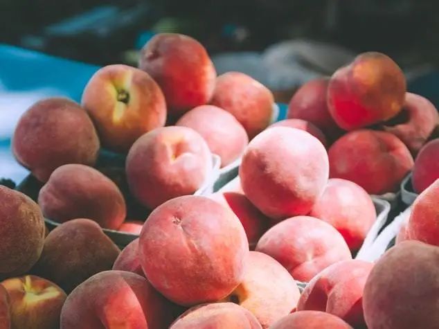 桃子好吃又营养，怎样吃才健康呢？赶紧看看吧