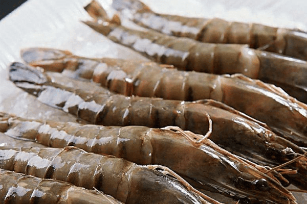 海虾和河虾的区别是什么？记住4点，分清海虾和河虾，别再买错了