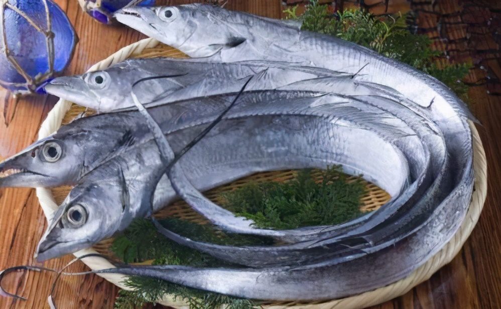 才知道，这4种鱼营养价值高，市场看见别错过，一次可以多买几斤