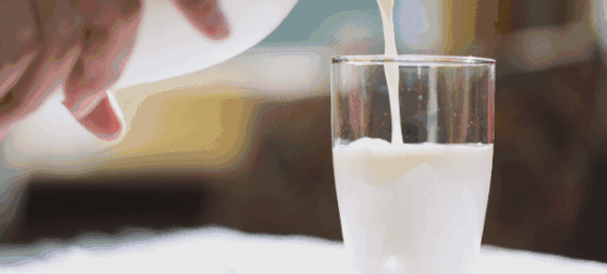 金典有机纯牛奶多少钱一箱（牛奶降价）