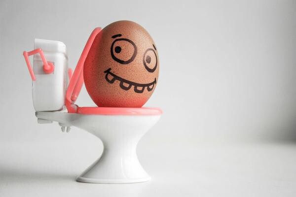 鸡蛋营养成分表（鸡蛋可不仅仅只含有蛋白质的哦）