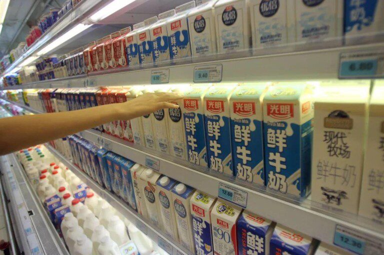 生牛奶放冰箱能放几天（牛奶和酸奶，到底要不要放冰箱啊？）