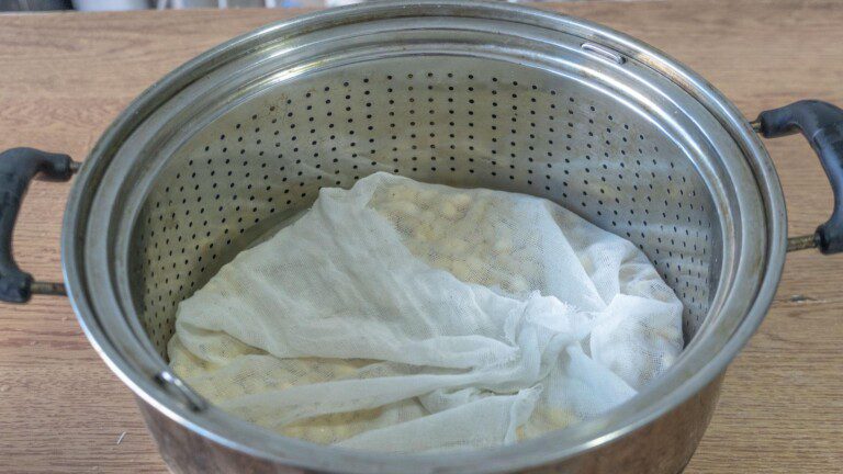 在家自制黄豆芽最简单的方法（教你在家自己做，做法简单靠谱）