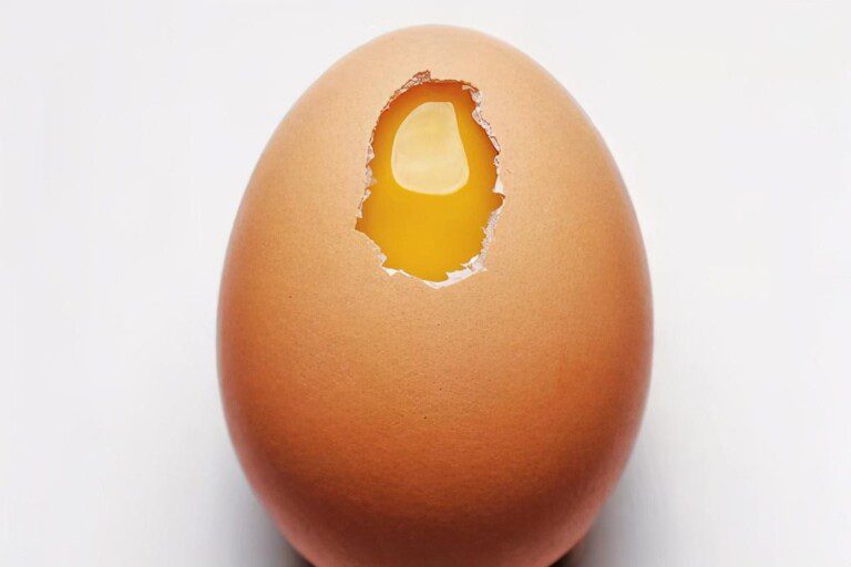 鸡蛋的成分（常吃全蛋(含蛋黄)对健康到底是有利，还是不利？）