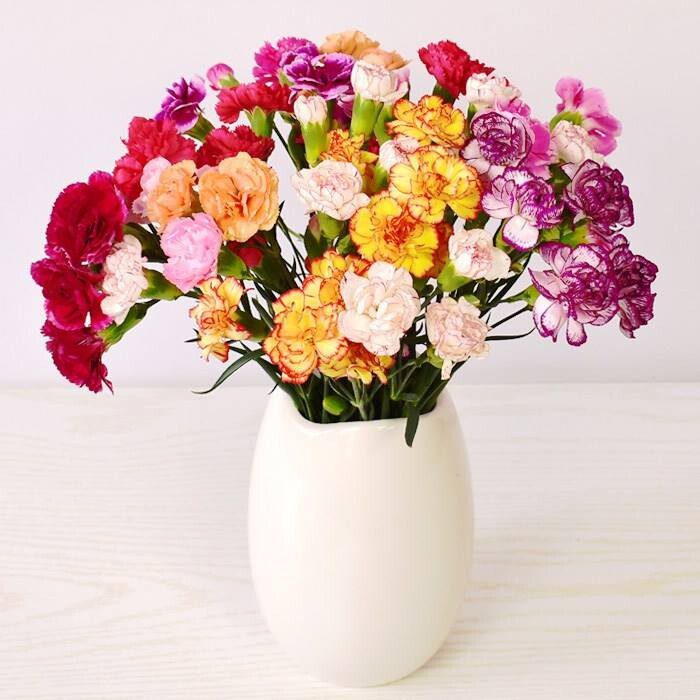 婚外情人一般送什么花（32种鲜切花花名，以及对应的花语，从此买花送人不出错）
