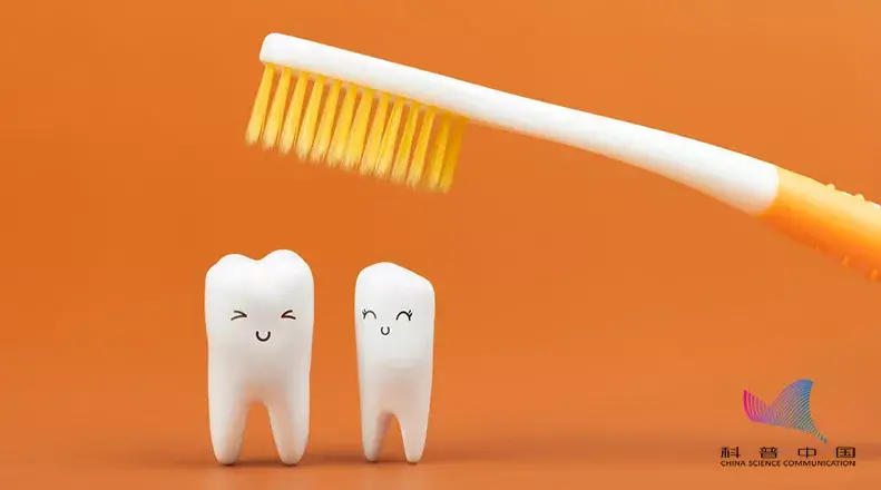 超声波牙刷和电动牙刷区别（电动牙刷和普通牙刷究竟有什么不同？）