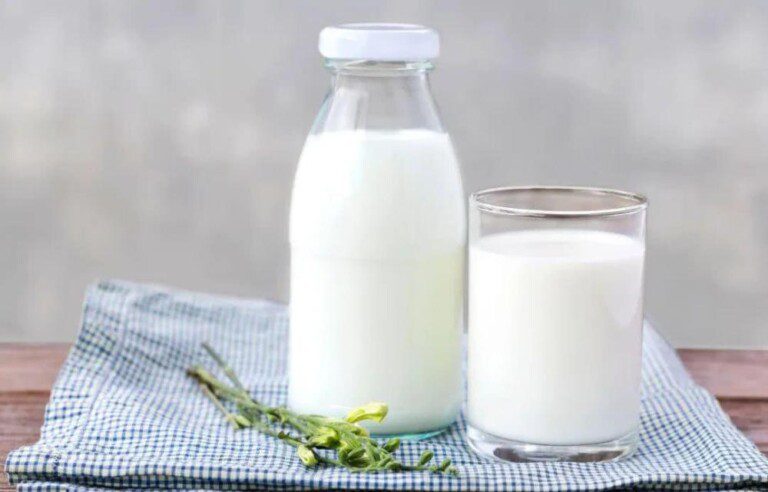 什么是有机纯牛奶和纯牛奶的区别（脱脂奶、鲜牛奶、高钙奶、舒化奶哪种牛奶性价比最高）